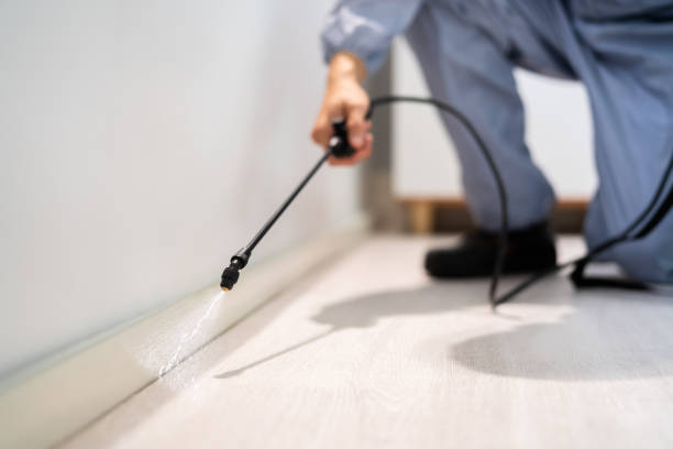 Licensed Exterminator service in Monroe, LA - Show Me Pest Control