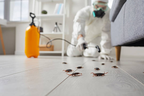 Commercial Rodent Management in Monroe